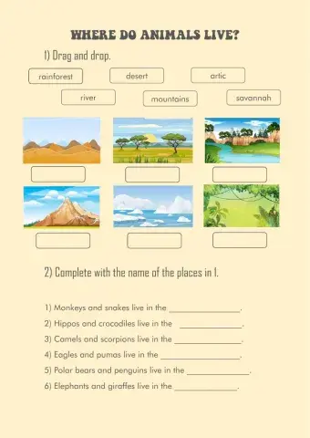 Where do animals live?