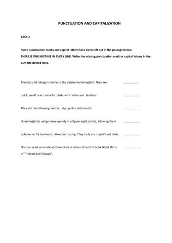 Punctuation and Capitalization