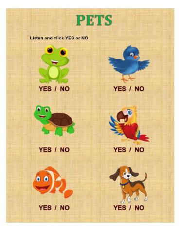 Pets