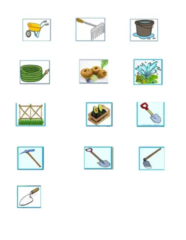 TLE- Ornamental Planting