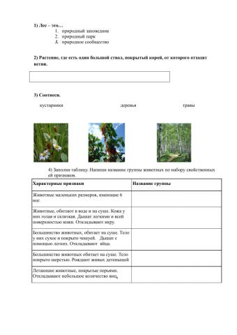 Лес и его обитатели