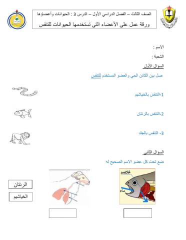 كيف تحصل الحيوانات على الاكسجين للتنفس ؟
