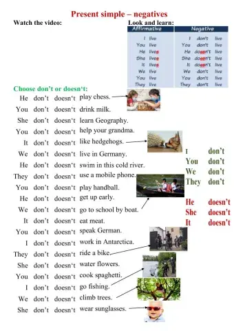 Present simple negative 2