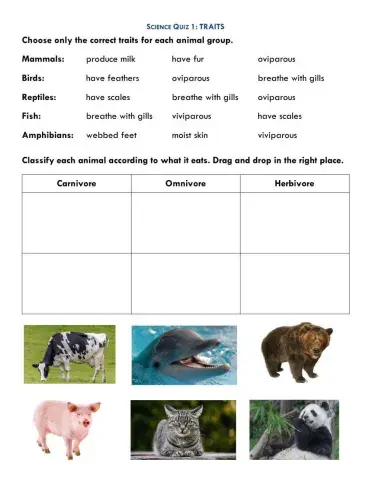 Animal Traits