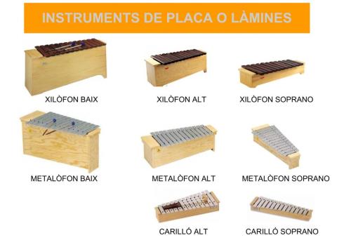 Instruments de placa o làmines