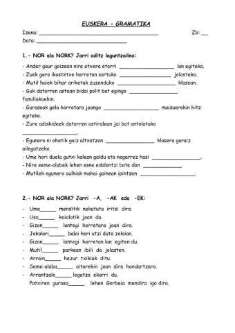 Nor - Nork eta deklinabidea