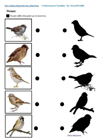 Βρες τις σκιές των σπουργιτιών