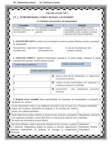 M1-XI-Trăsăturile înteprinderii