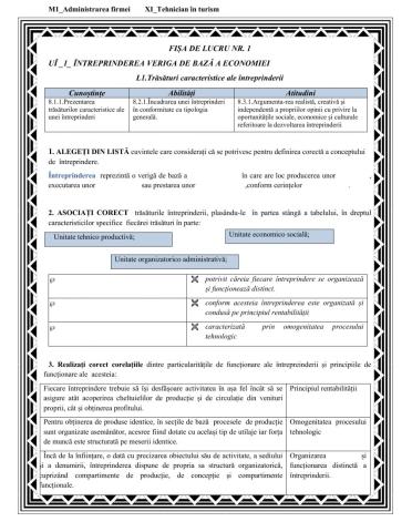 M1-XI-Trăsăturile înteprinderii