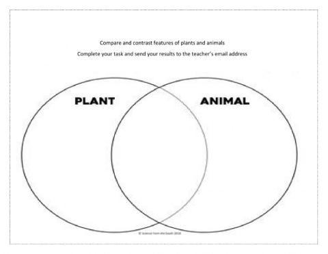 Compare and contrast animal and plant