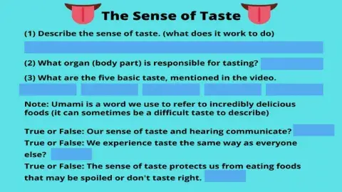 Activity 1: Taste Discovery