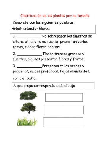 Clasificación de las plantas por su tamaño