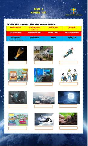 Grade 6 Midterm Test