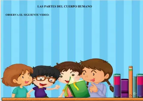 Las partes del cuerepo humano