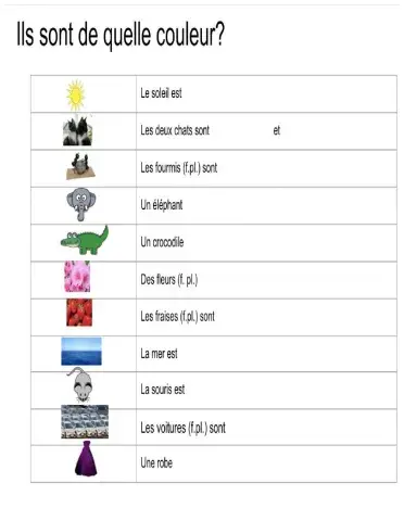 Les couleurs-masculin-féminin-singulier-pluriel