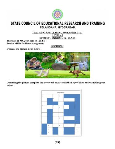 9 class level 1 worksheet 17