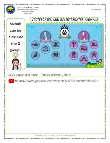 Veterbrates and invertebrates animals