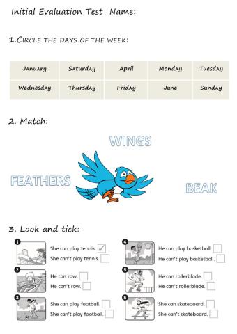 Initial evaluation New Tiger 3