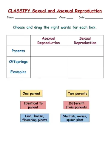Classify reproduction