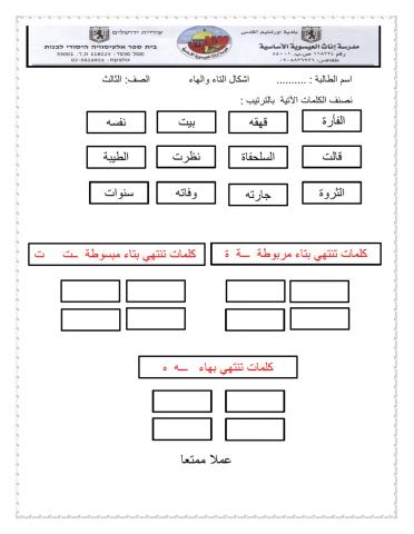التاء والهاء