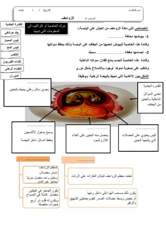 ورقة 6تفاعلية2