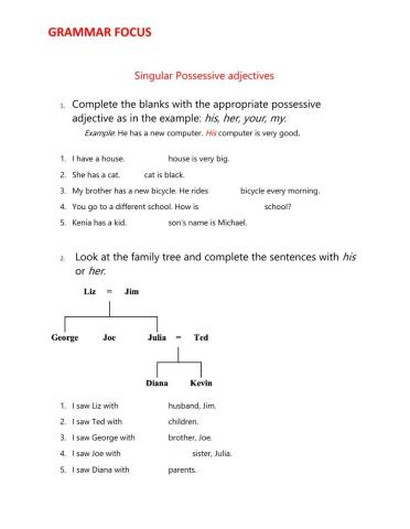 Singular Possessive adjectives