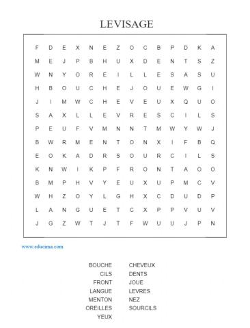 Le visage - mots melés