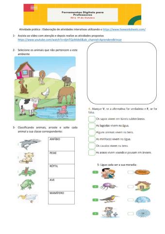 Classificação dos animais