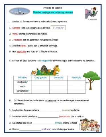 El verbo: número, persona y conjugación