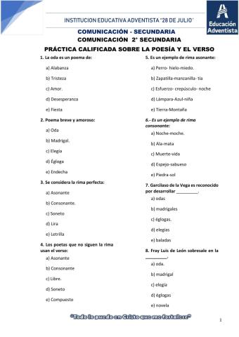 Practica sobre poesia y verso