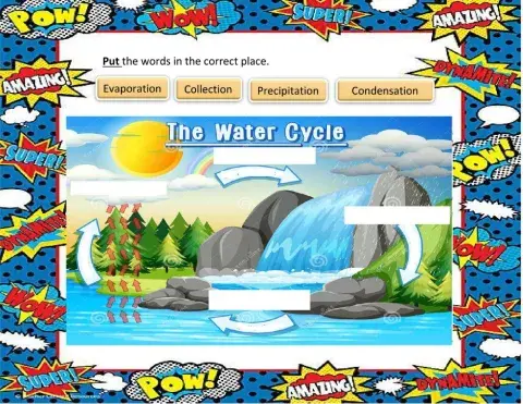 The water cycle