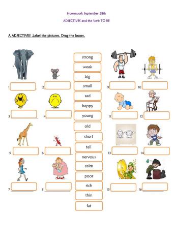 Adjectives and the verb To Be