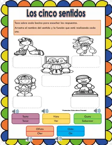 Los cinco sentidos