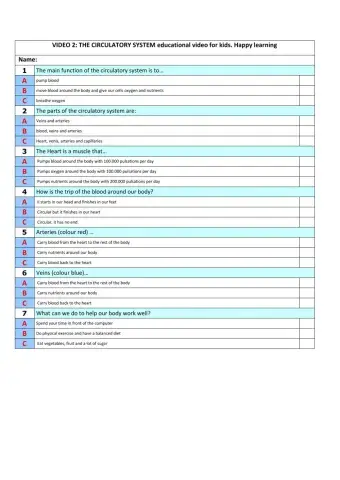 The circulatory system