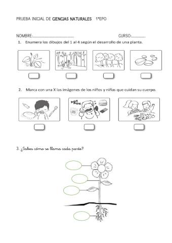 Evaluación inicial ciencias
