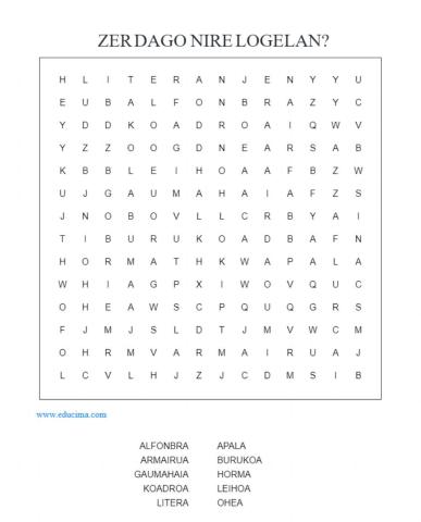 Zer dago nire logelan?