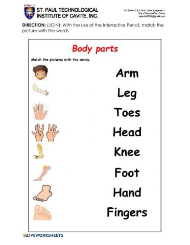 Body parts