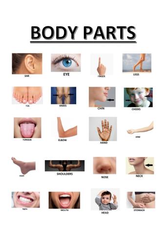 Body parts listening