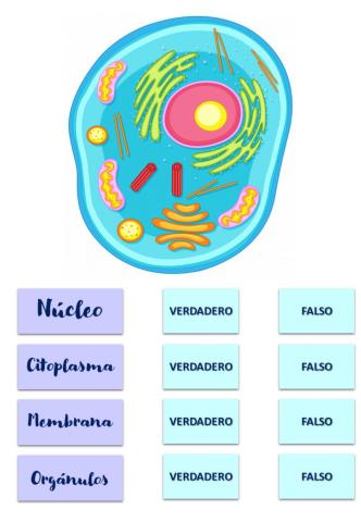 Las partes de la célula