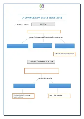 La composición de los seres vivos