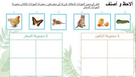 تصنيف الحيوانات