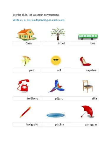 Uso de la, el, los, las