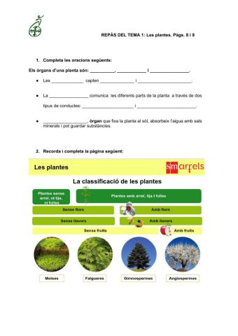 Les plantes