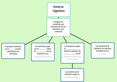 Sistema Digestivo Completar Esquema