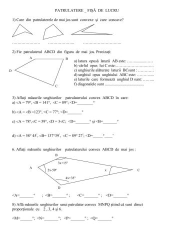 Fisa 1- patrulaterul convex