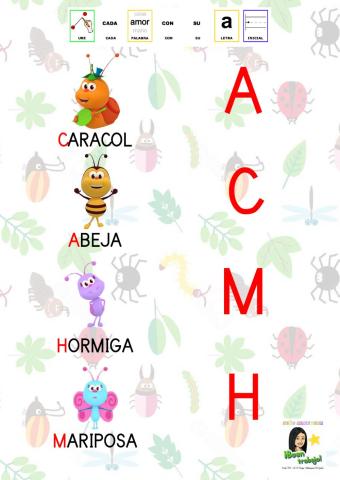 Une cada palabra con su letra inicial (insectos)