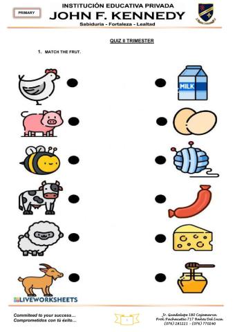 Amimals on the farm - fruits