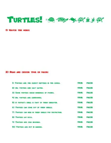 Turtles