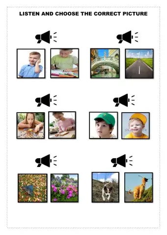Listen and choose the correct picture