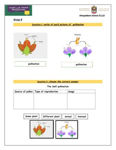 Types of pollination